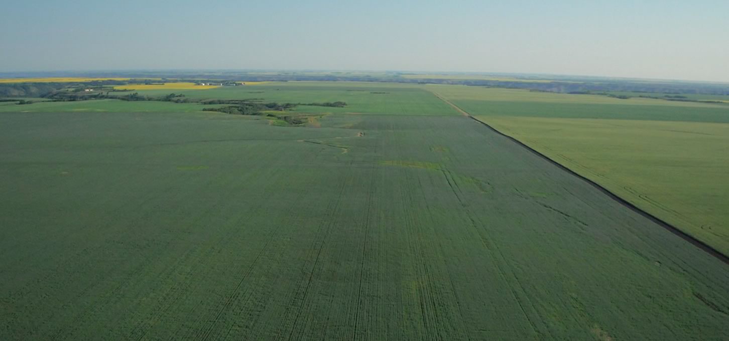Canmar Foods - Part of our integrated farm strategy.